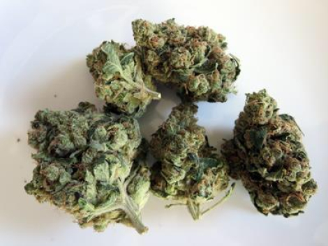 SOUR-DIESEL-1.jpg