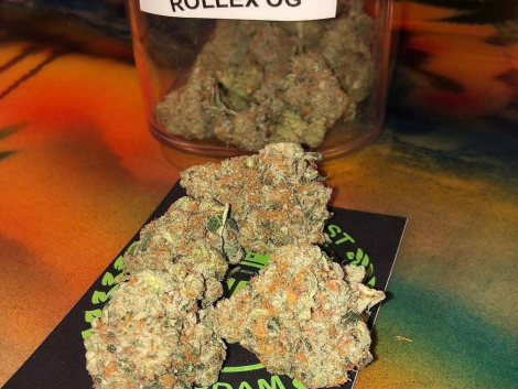 rollex-og-1.jpg